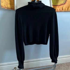 Aritzia long sleeve cropped turtleneck